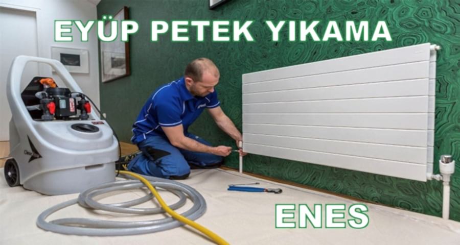 Eyüp Petek Temizliği